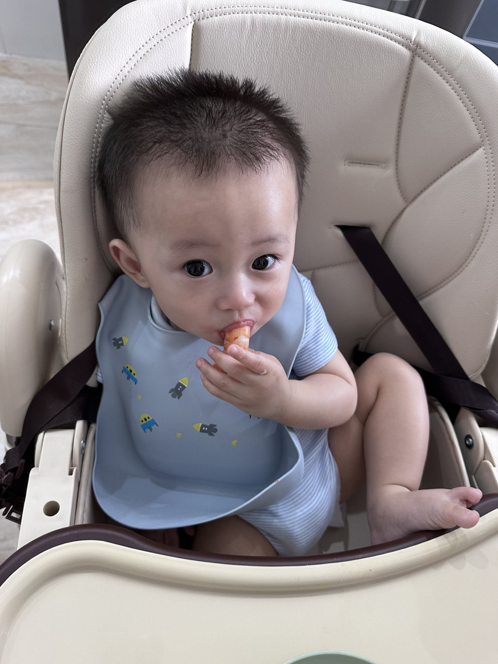 Cody at 10 month(s)