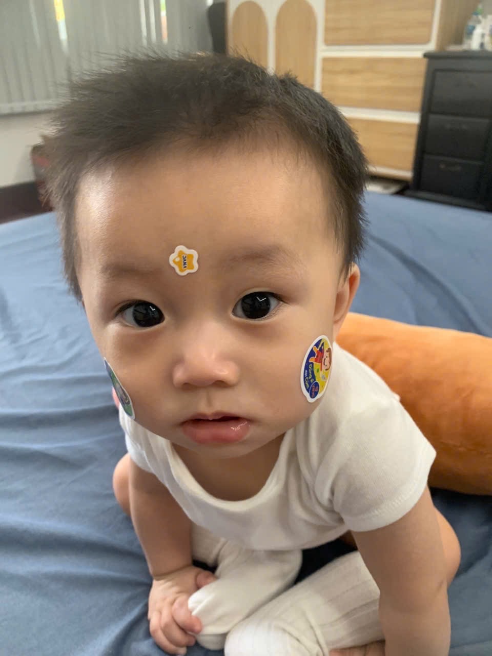 Cody at 8 month(s)